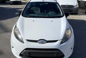 Ford White Επαγγελματικό (1)