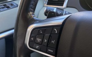 LAND ROVER DISCOVERY (10)